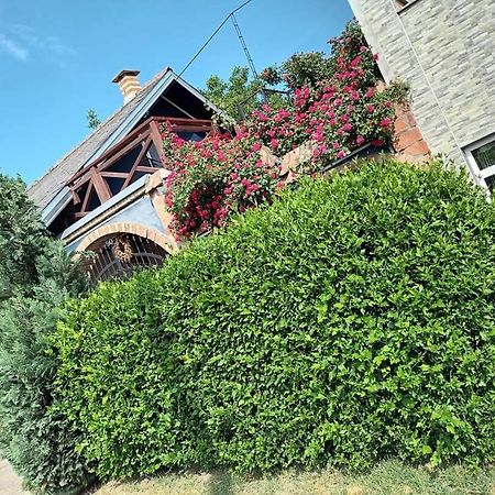 Apartman Vrdnicak ヴルドニーク エクステリア 写真