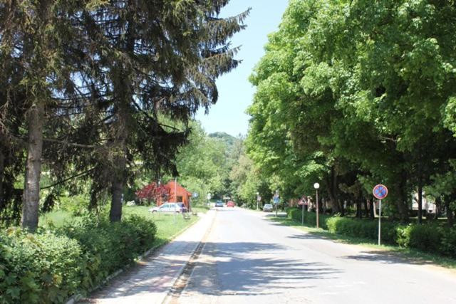 Apartman Vrdnicak ヴルドニーク エクステリア 写真