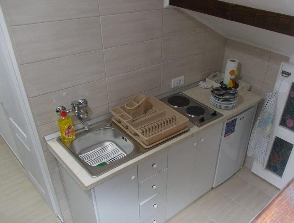 Apartman Vrdnicak ヴルドニーク エクステリア 写真