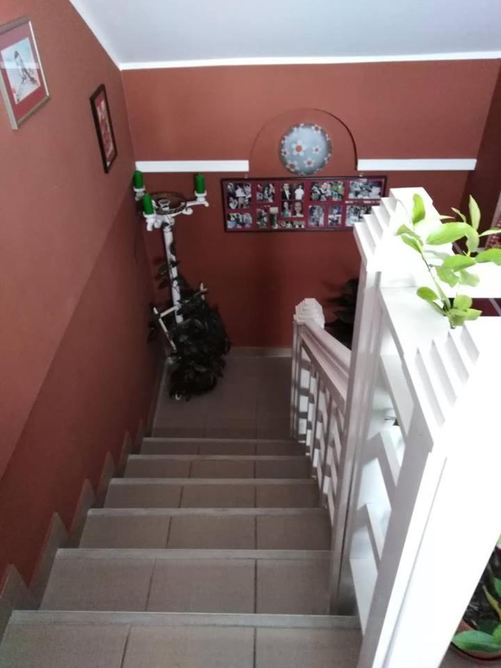 Apartman Vrdnicak ヴルドニーク エクステリア 写真