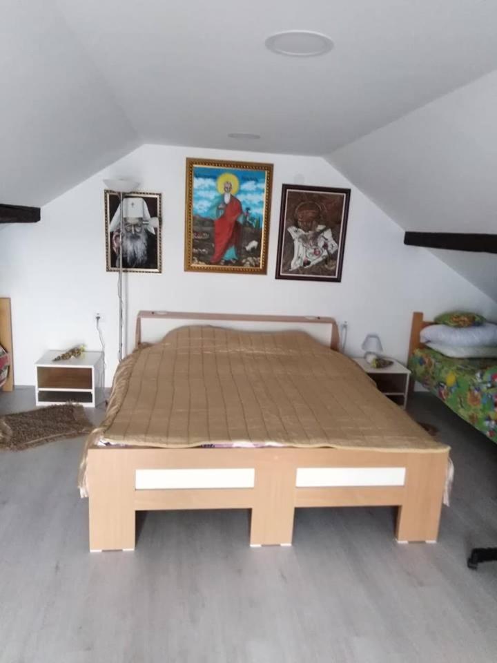 Apartman Vrdnicak ヴルドニーク エクステリア 写真